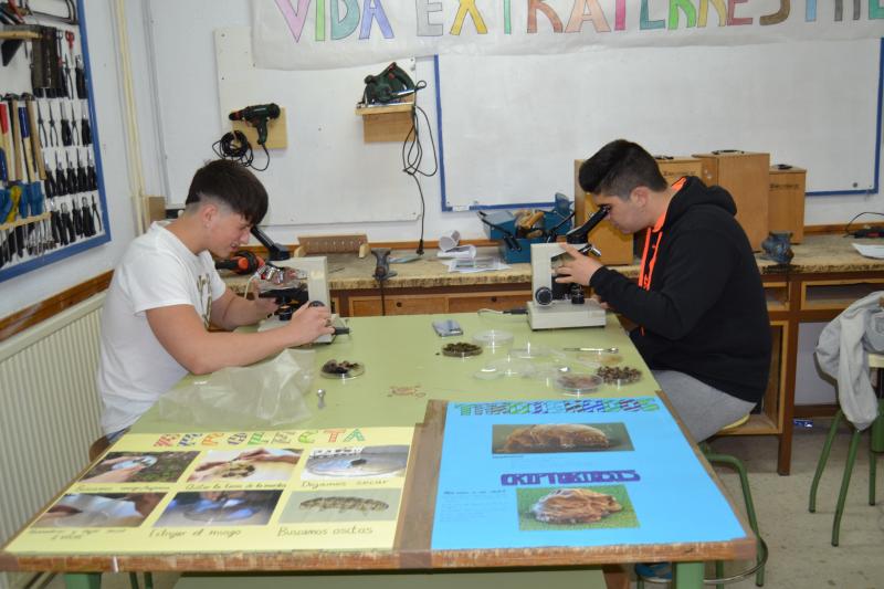 FERIA DE LA CIENCIA - FERIA DE LA CIENCIA. 